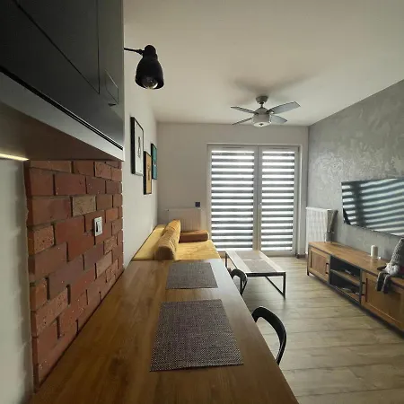 Kawka Na Grobli Wroclaw